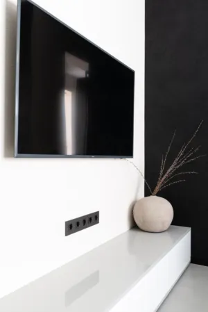 Modern Minimalist Living Room