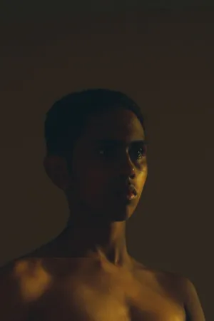 Shadows And Light