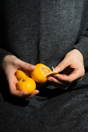 Hands Holding Oranges