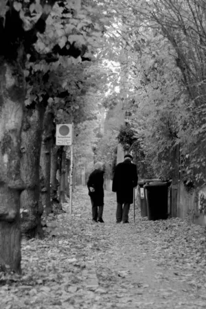 A Walk In The Park