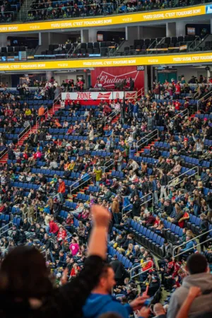 Crowd At A Sports Event