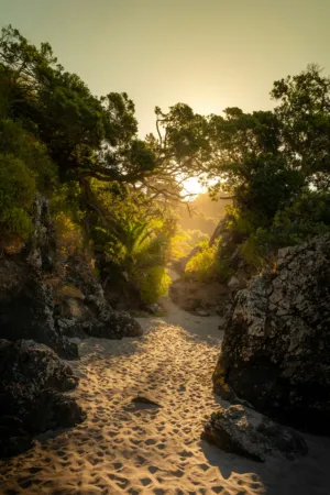 Sunset Path
