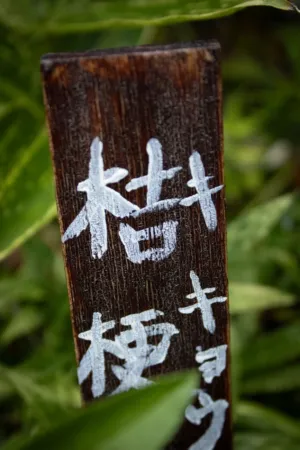 Japanese Sign