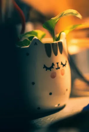 Cute Cat Planter