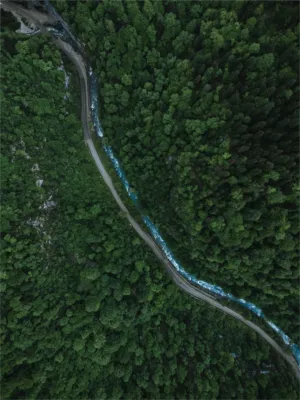 Forest Road