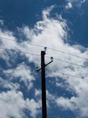 Power Lines And Clouds