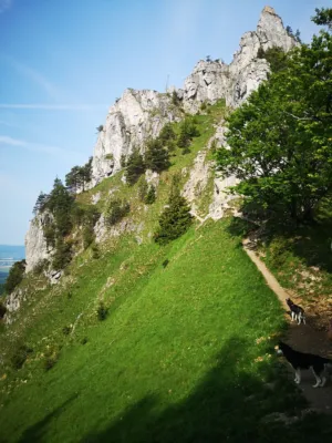Mountain Trail