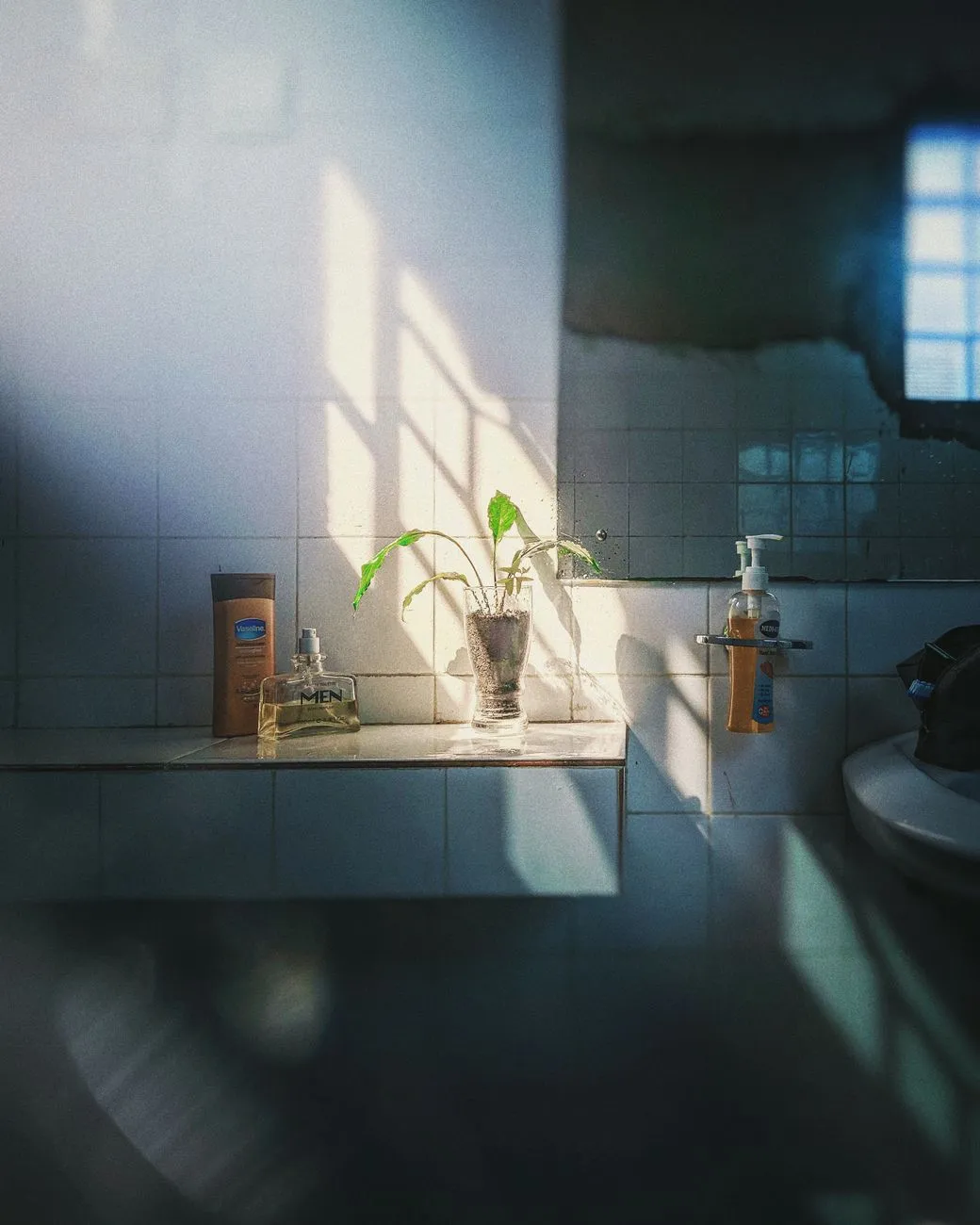 Sunlit Bathroom Shelf