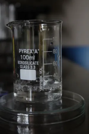 Pyrex Beaker