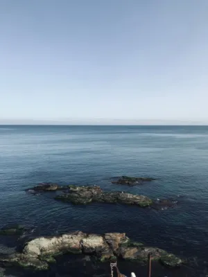 Ocean View