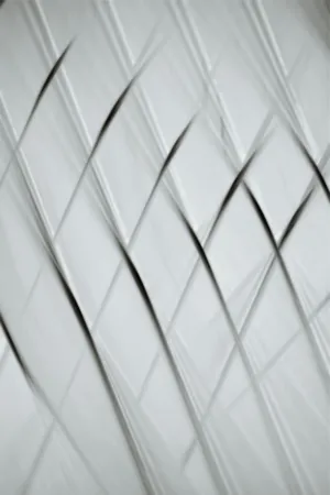 Abstract White Lines