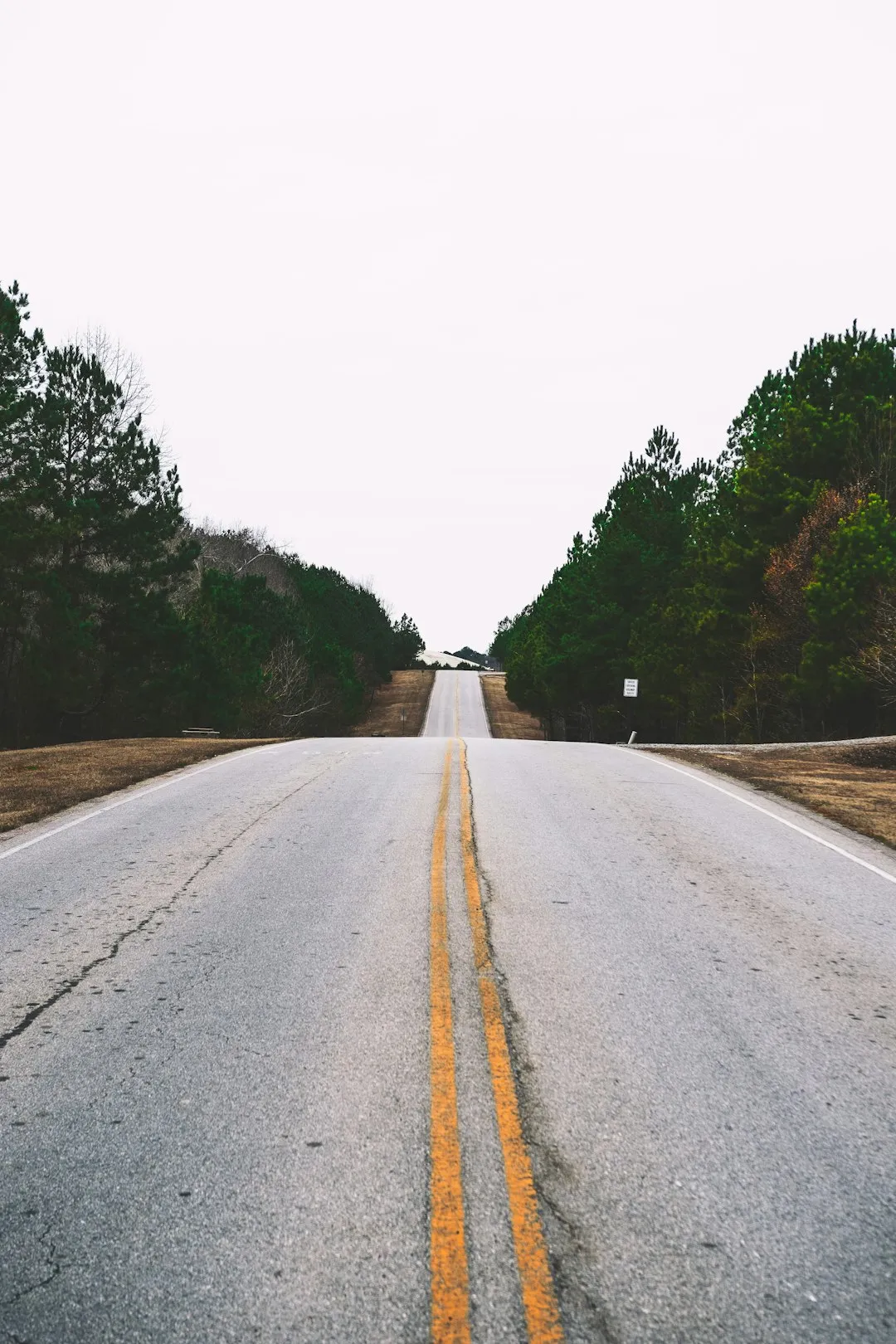 Road Through Forest