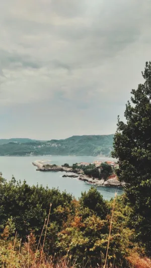 Coastal Landscape