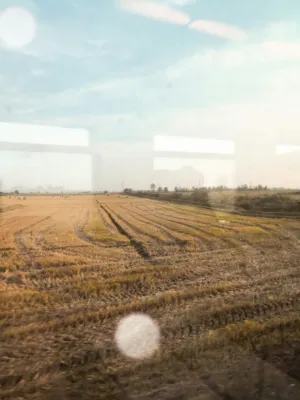 Rural Landscape