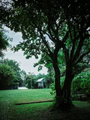 Garden Path