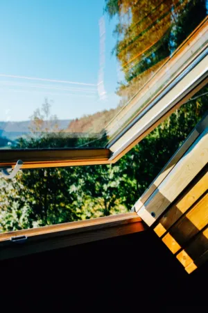 Window View