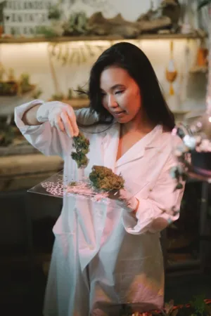 Botanical Artist At Work