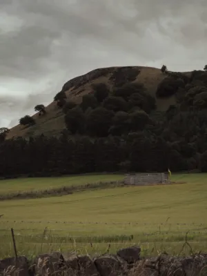 Rural Landscape