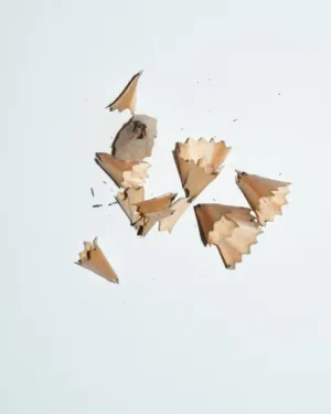 Pencil Shavings