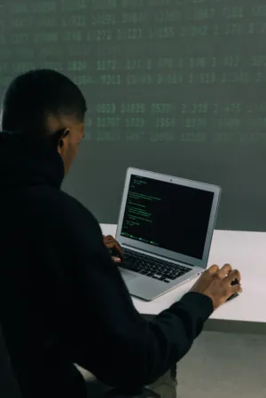 Cybersecurity Professional