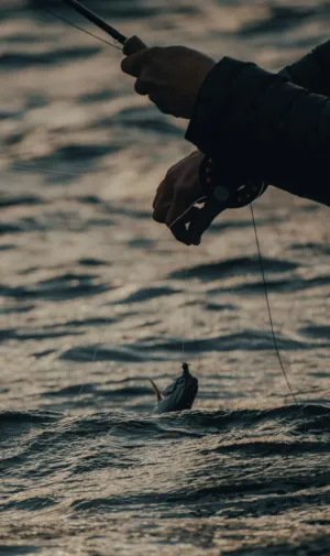 Fishing At Sunset