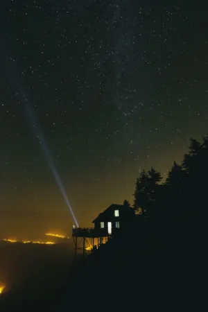 Starlit Night