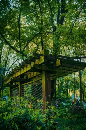 Wooden Structure In A Forest