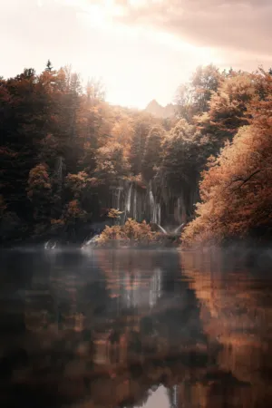 Autumnal Forest Reflections