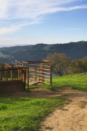 Rustic Farm Gate