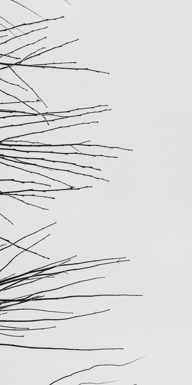 Minimalist Branches