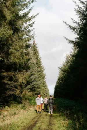 Forest Walk