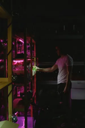 Gardening In The Dark