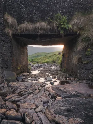 Rustic Tunnel