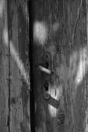 Old Wooden Door