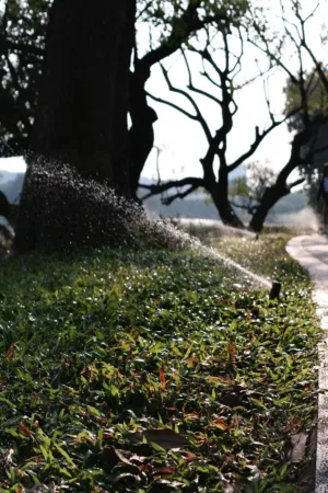 Garden Path