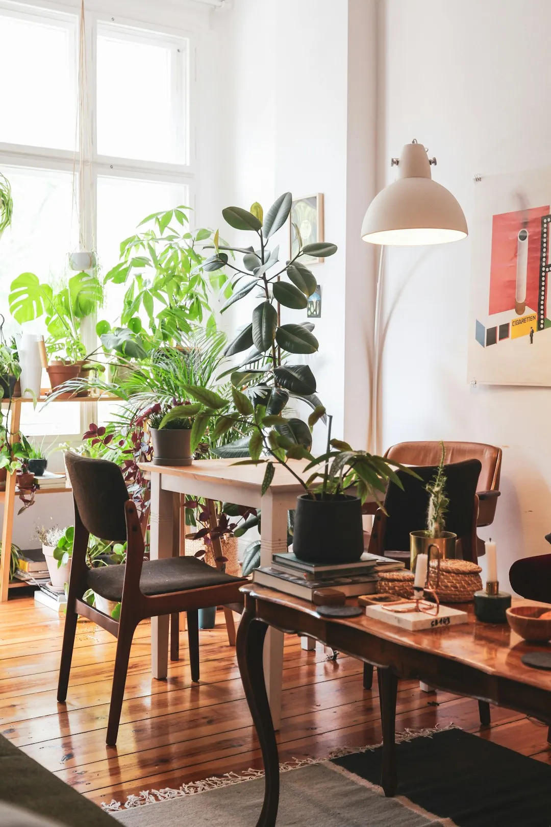 Boho Living Room With Plants