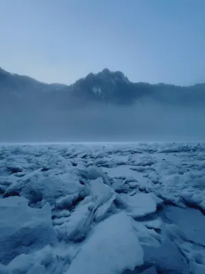 Frozen Landscape