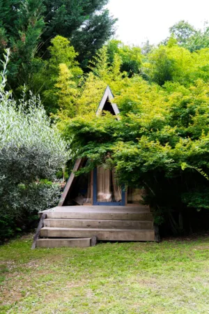 Cozy Cabin In The Woods