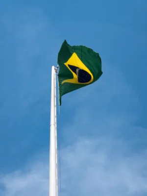 Brazilian Flag