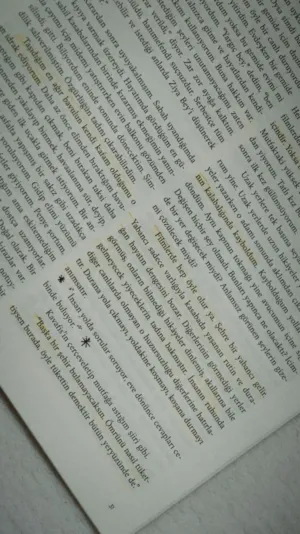 Book Page With Highlighted Text