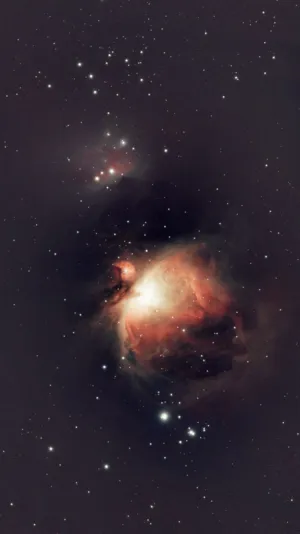 Orion Nebula