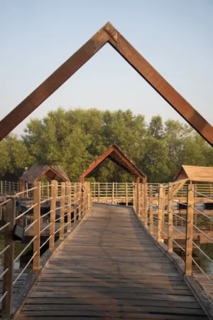 Wooden Bridge Over Water