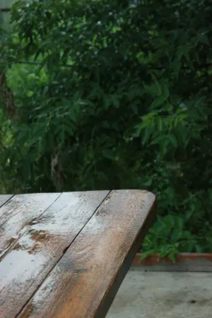 Rainy Day Table