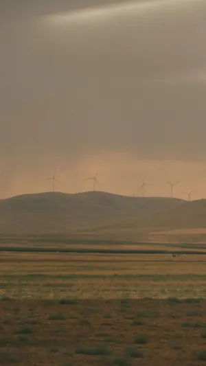 Wind Farm At Sunset