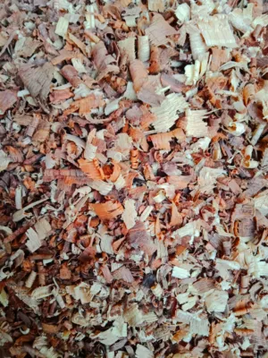 Wood Shavings