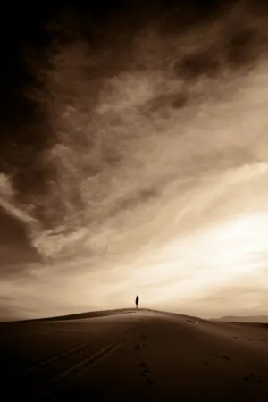 Solitude In The Desert