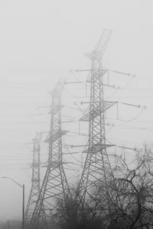 Foggy Power Lines