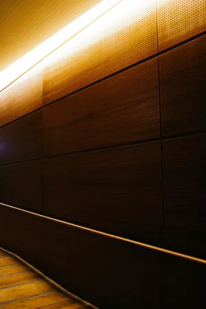 Modern Wooden Wall