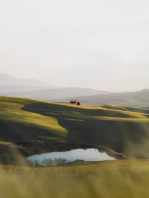 Idyllic Countryside Landscape