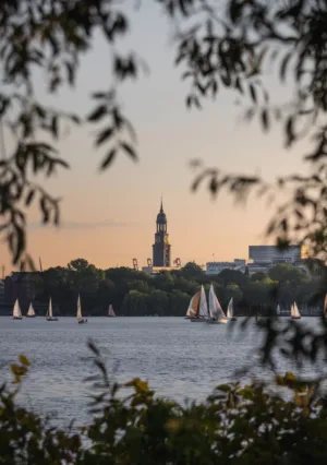 Sunset Sailboats